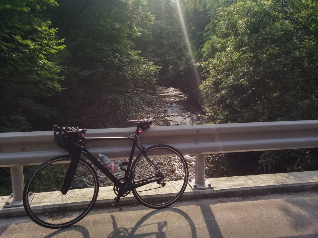 ヨドバシカメラ 自転車 下度り